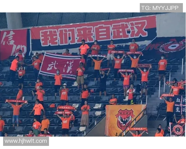 武汉羽毛球队转型之路：从传统强队到新生力量的全面解析